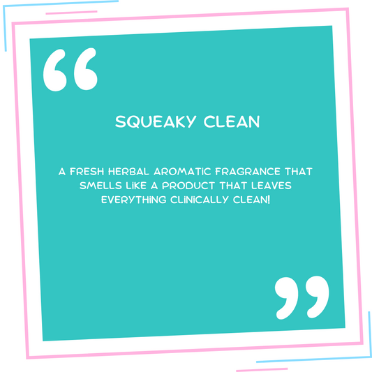 Squeaky Clean Wax Melt Snap Bar